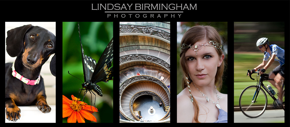 Lindsay Birmingham Photography